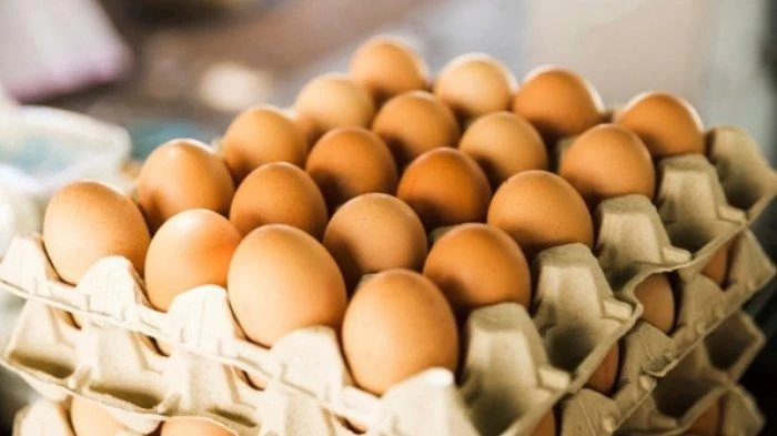 telur
